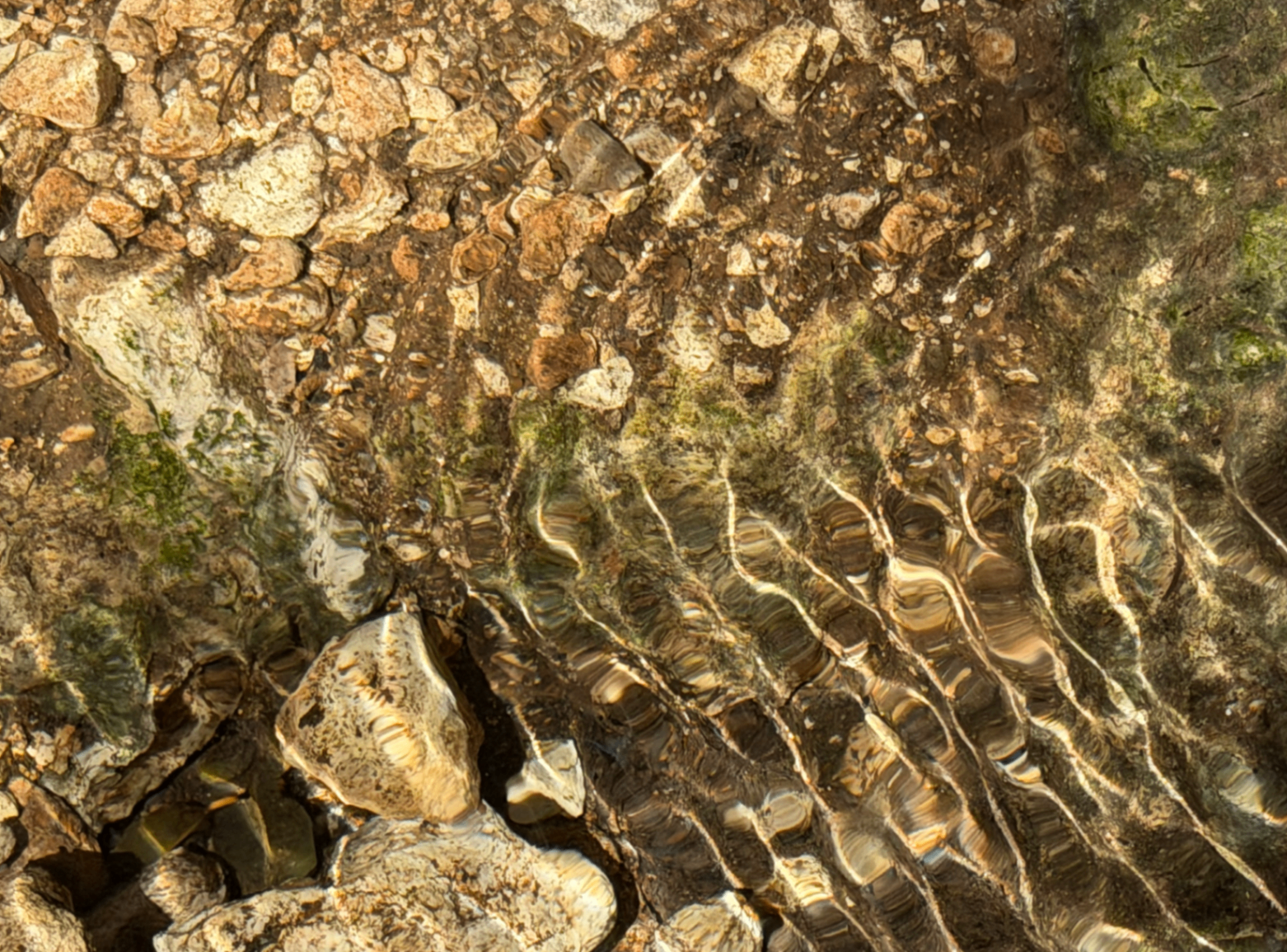 Sunlit ripples over stones in sacred spring